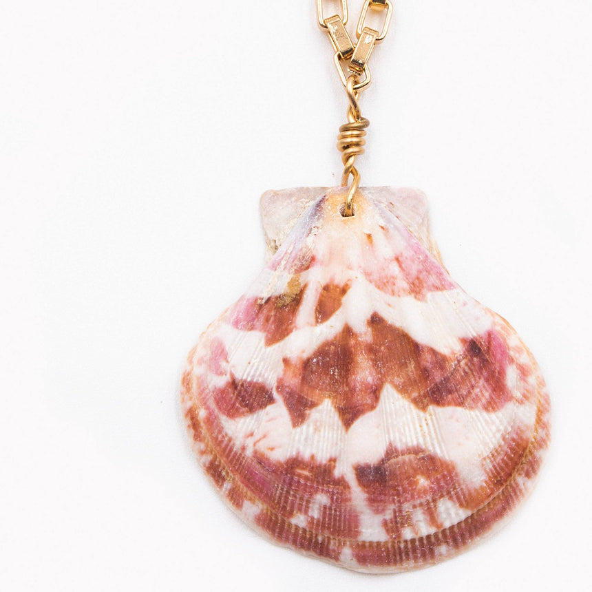 Seashell Pendant Chain Necklace In Gold