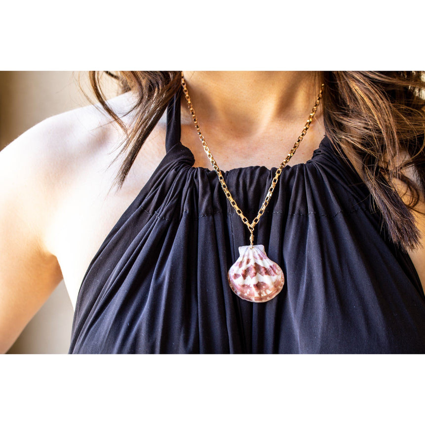 Seashell Pendant Chain Necklace In Gold